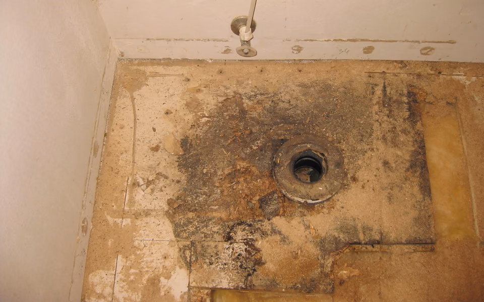 Water-stained bathroom subfloor exposed after fixture removal